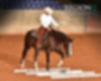 Jr Ranch Horse Riding