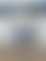 Episode 3 -The Super Bowl Shuffle