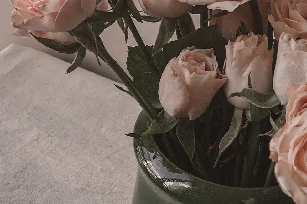 Mastering Your Instagram Aesthetic: A Comprehensive Guide to Stand Out