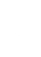 DNP logo rebrand white.png