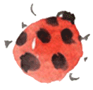 テントウムシ