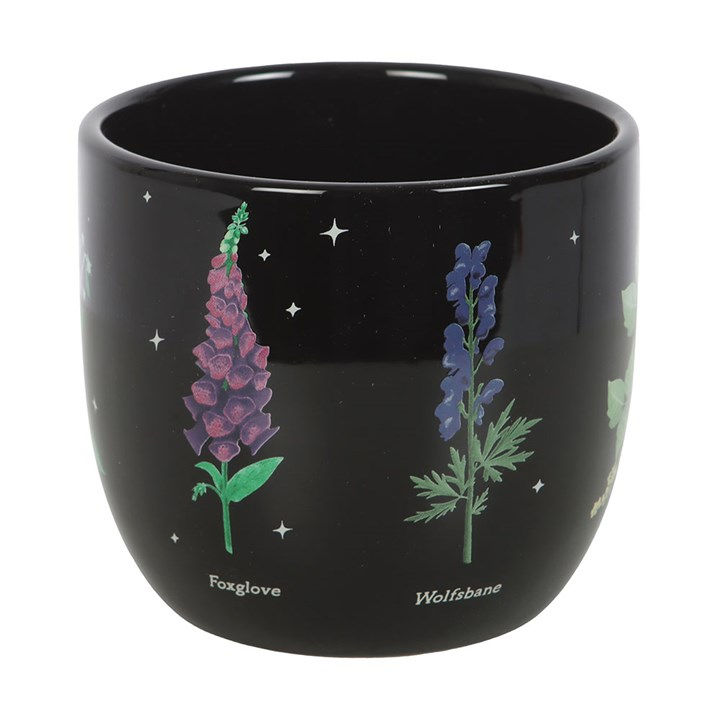 Thumbnail: Poisonous Plants Plant Pot