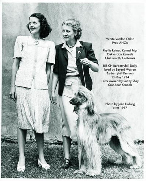 Venita Vardon, President AHCA raised prize winning Oakvardon Afghan Hounds at The Oakridge Estate. Phyllis Rainer Kennel Manager