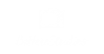 BeHereStudios logo TV white-01.png
