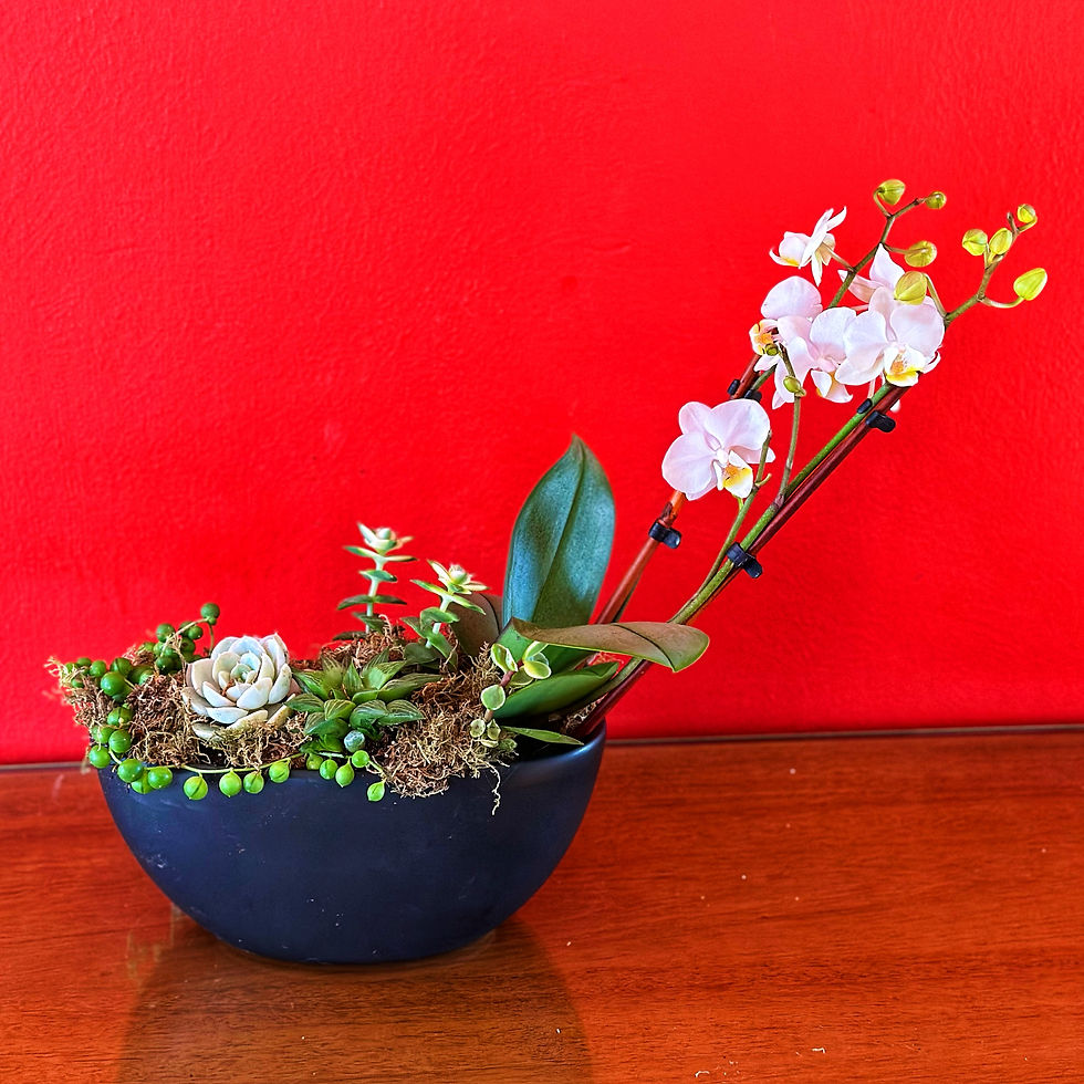 Thumbnail: Orchid Garden