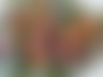 Floral Coral: Color Combinations for Every Season - In the garden & arrangements