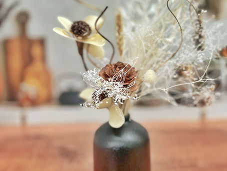 11 Pet Friendly Plants