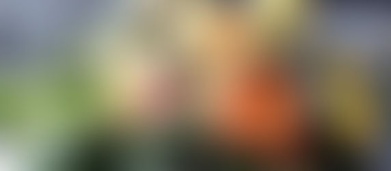 Why are flowers SO expensive?!?!