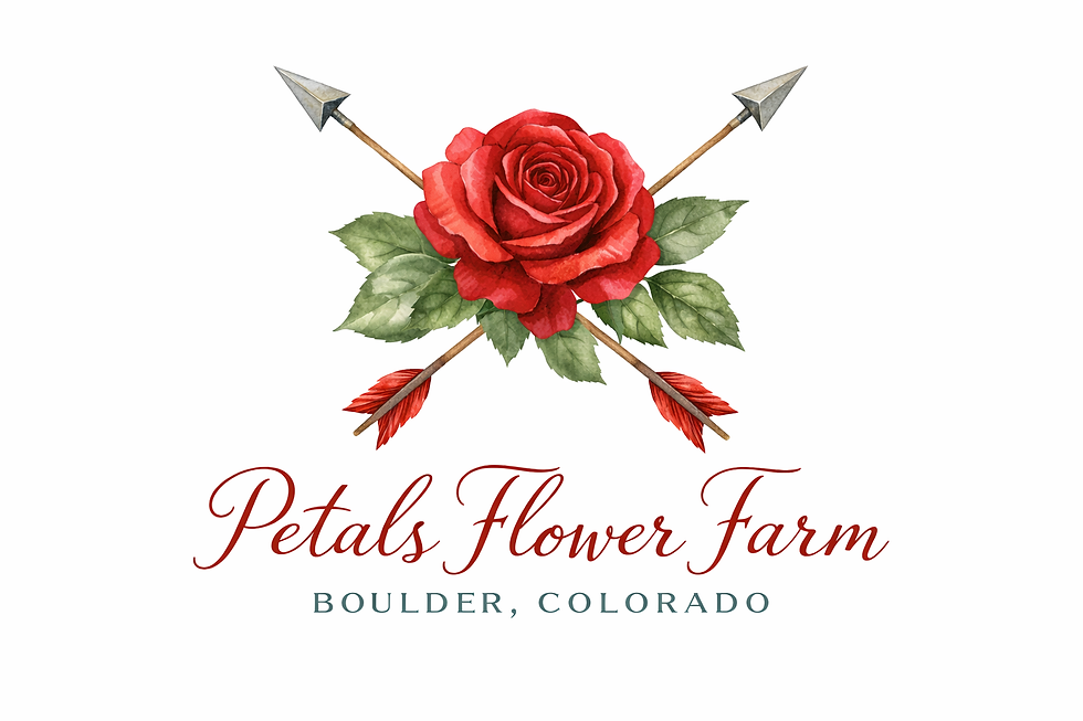 Valentine's Day Gifts For Him