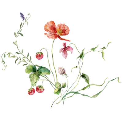 Wildflowers bouquet10.png