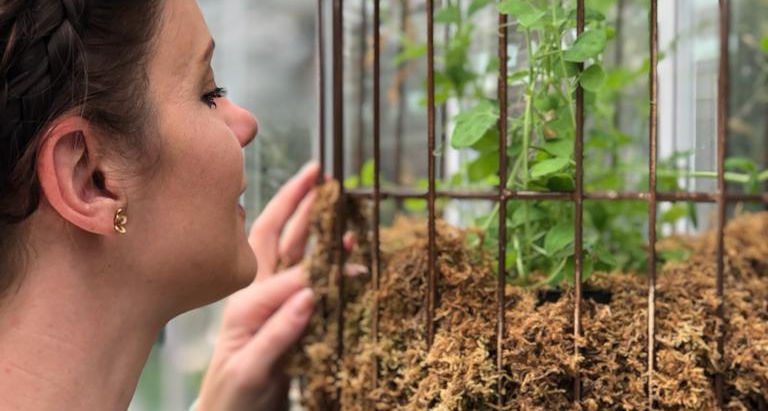 Cold Stratification: A Winter Prep for Growing Cut Flowers at Petals Flower Farm