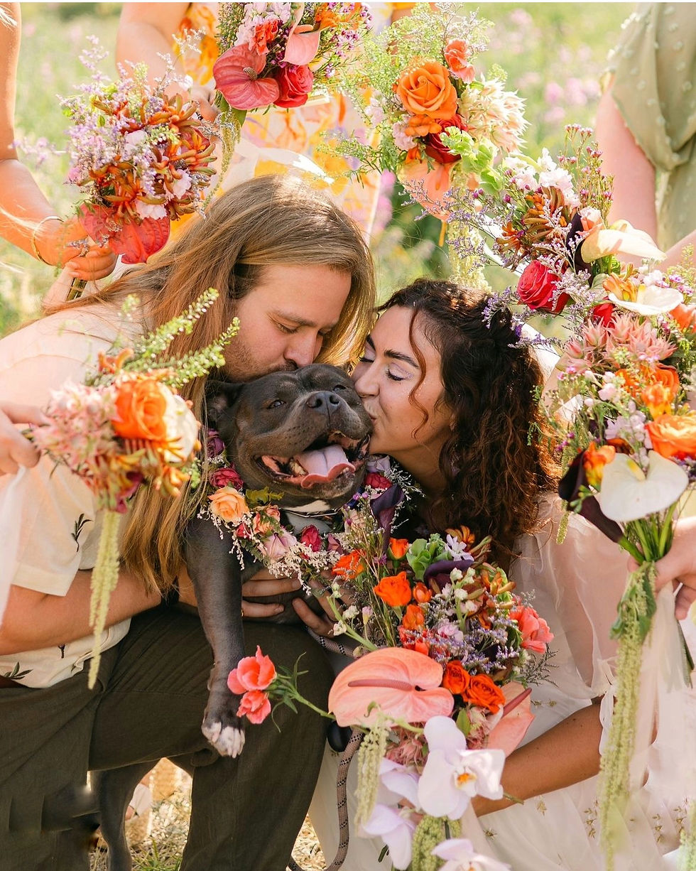 colorado wedding couple with their dog and tropical flowers from petals flower farm petals boulder