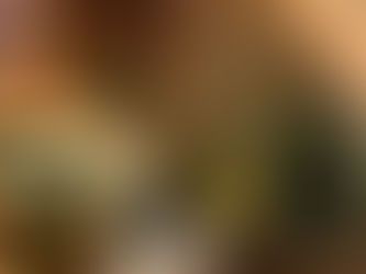 Gardening to Feed Your Family