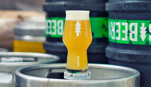 באנר סיבירייה.jpg