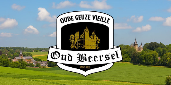 רקע עוד בירסל.jpg