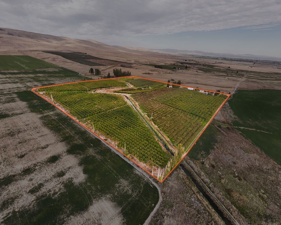 DJI_20251008154101_0024_D