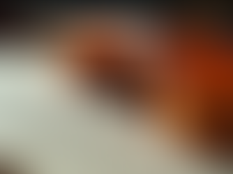 新加坡小提琴家谢萱颖的音乐旅程