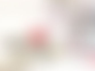 雲城雅集聚會 第256 次集體作畫 在國際畫廊 11 月11 日