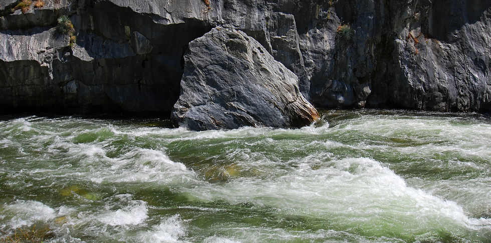 Does God Change His Mind?