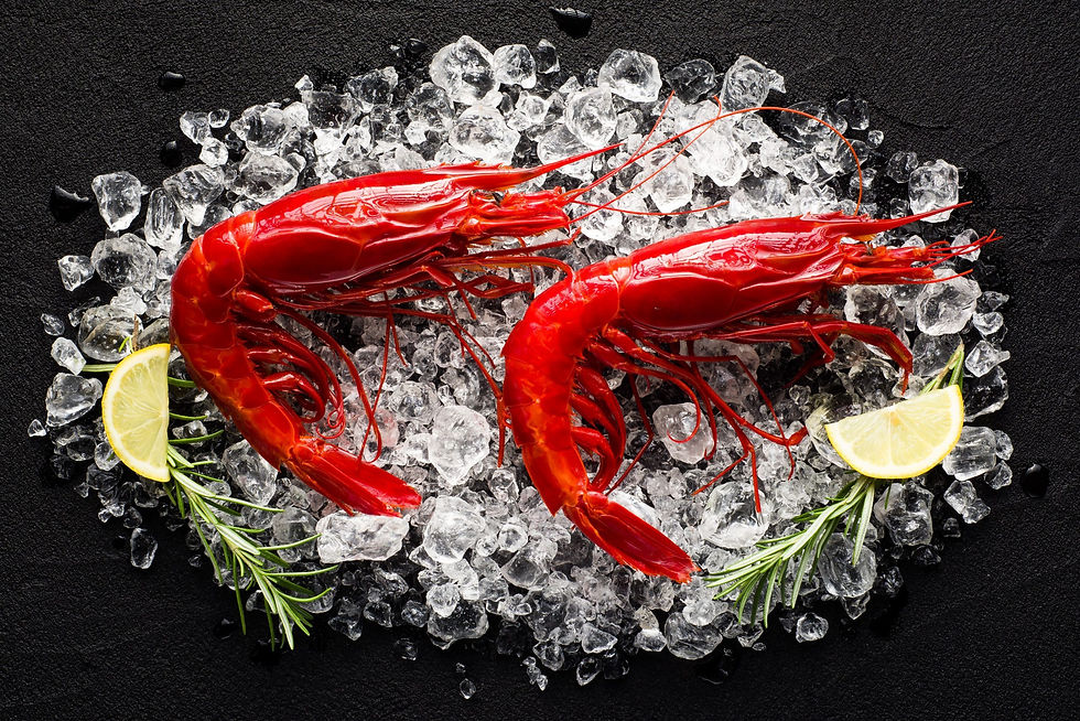 Sicilian red prawns