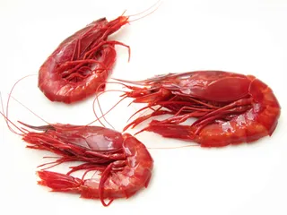 italian food hong kong to cook dinner ermanno lelli segreto red prawns italian holiday