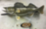 Lax Reproductions Walleye