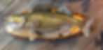 Head Left_Tail Down on Large Plaque