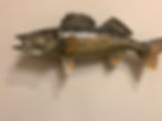 Lax Reproductions Walleye