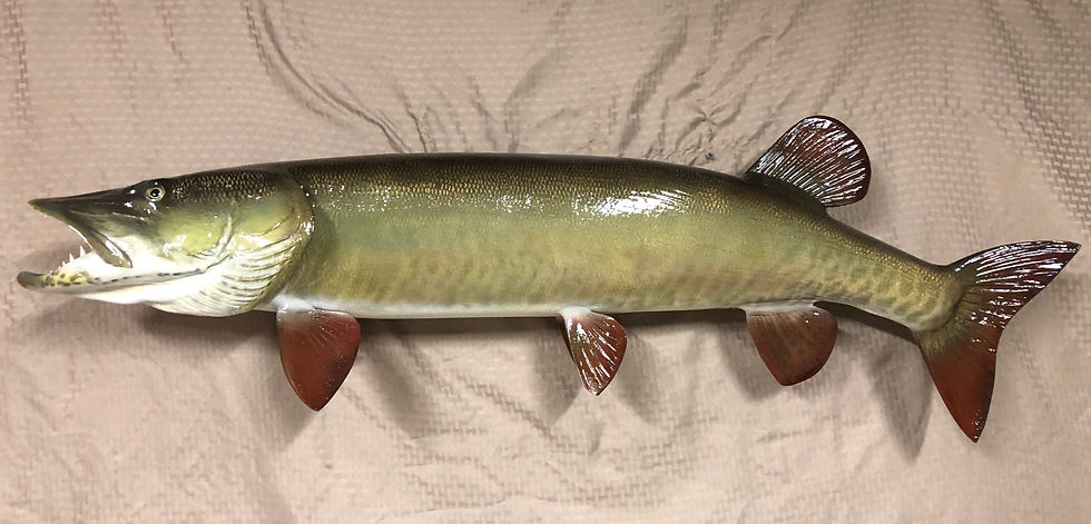 49 x 23 -