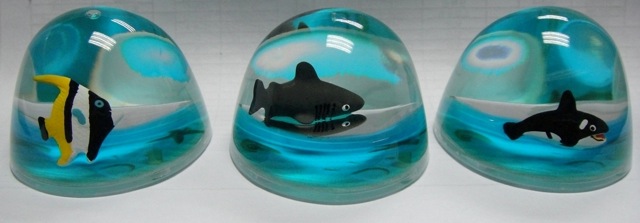 Dolphin