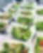 food 7.jpg