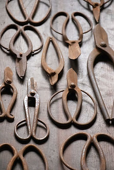 ⑤-2.jpg