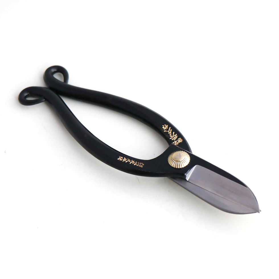 Japan traditional ikebana scissors T-8CA