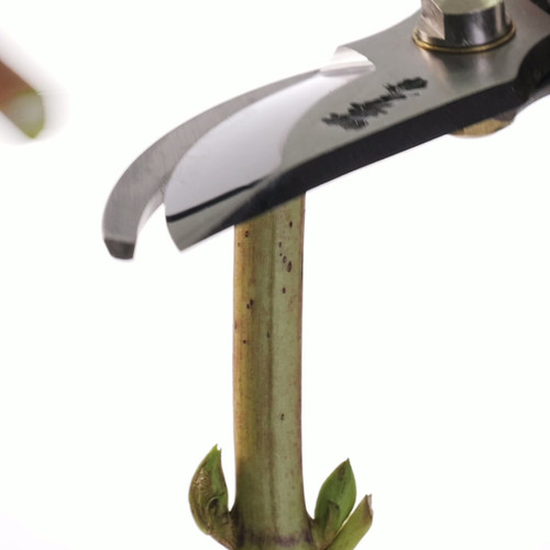 T34 剪定鋏 225mm | 株式会社 外山刃物 -公式サイト-