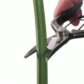 芽切鋏の通販なら株式会社 外山刃物 | 剪定鋏や植木鋏など刃物通販なら