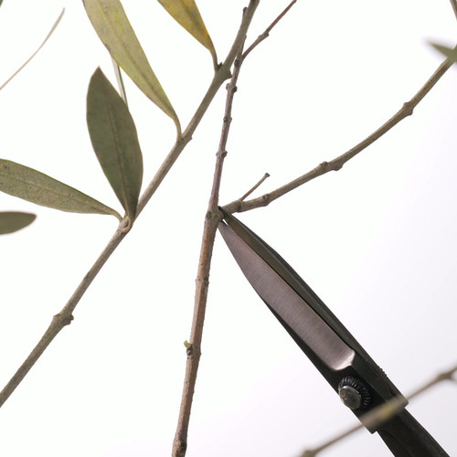 TH10PG 花柄摘鋏 桜 | 株式会社 外山刃物 -公式サイト-