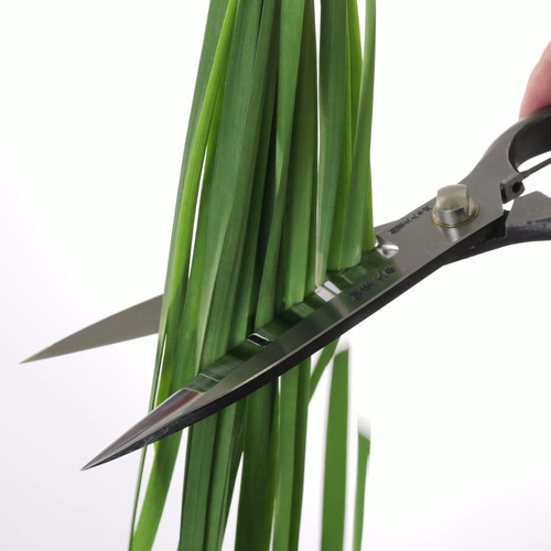 葉刈兼用根切鋏 | 株式会社 外山刃物 -公式サイト- 葉刈兼用根切鋏 | 株式会社 外山刃物 -公式サイト-