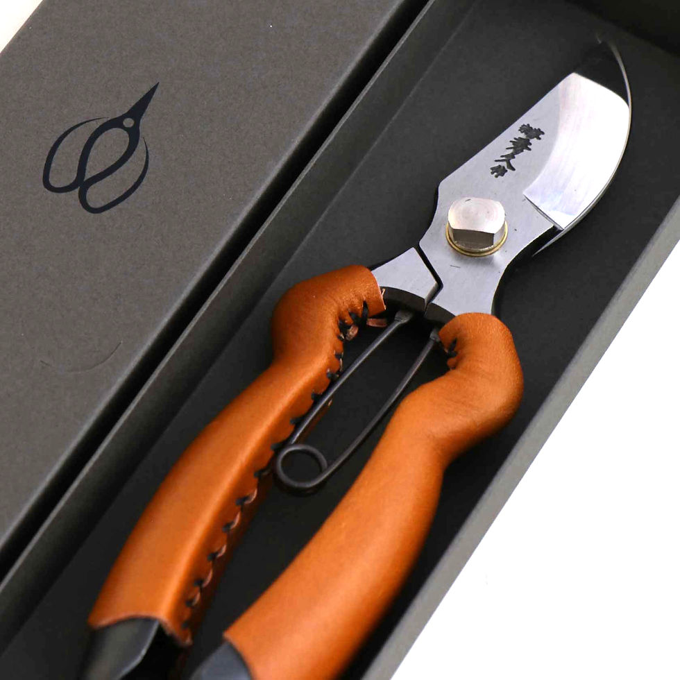 Thumbnail: T21C 剪定鋏  BB200Y  leather camel