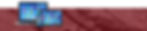 TCS website.jpg