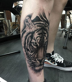 35694827_949397401888360_714672190862340