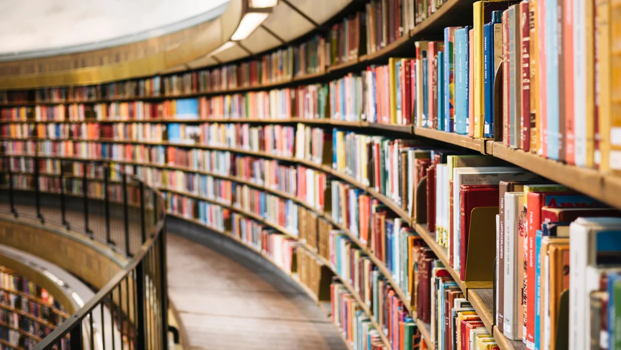 librarians-depend-on-libby-but-they-also-worry-that-its-newfound-popularity-could-seriousl