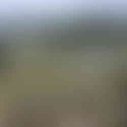 Garten Schloss Versailles