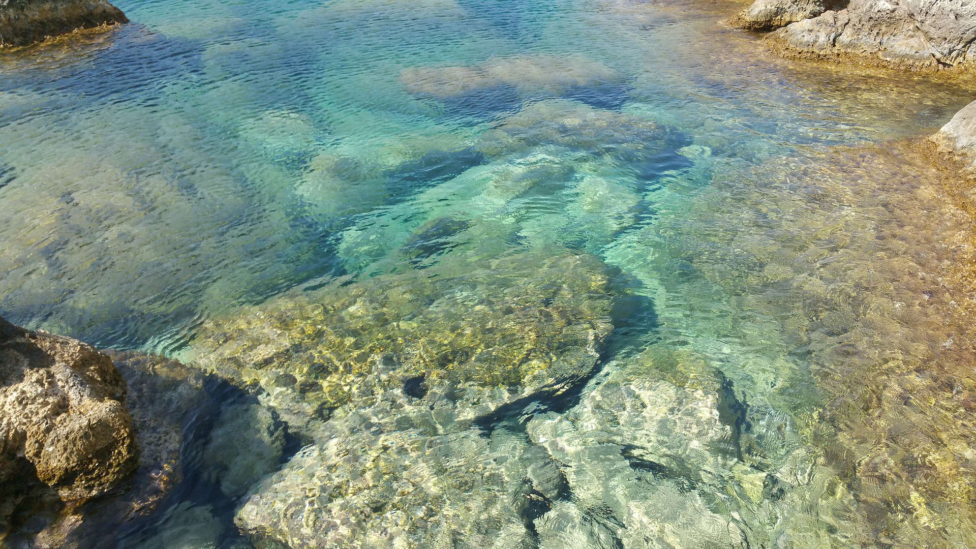 Anthony Quinn Bay