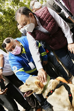 Crear veterinarias públicas para atender animales de la calle, propone Durazo