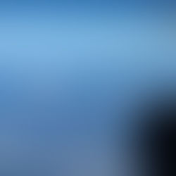 Sakura at Yambaru forest in Okinawa