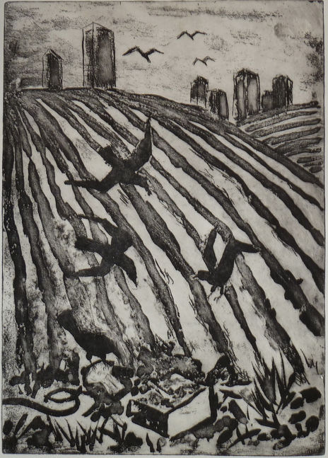 Urban Furrows