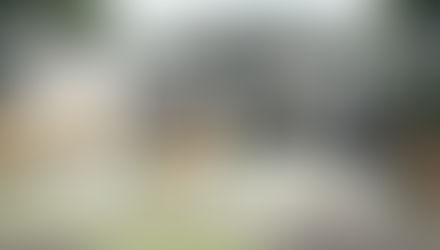 DUPLEX SUBDIVISION WHEN COUNCIL SAYS NO!