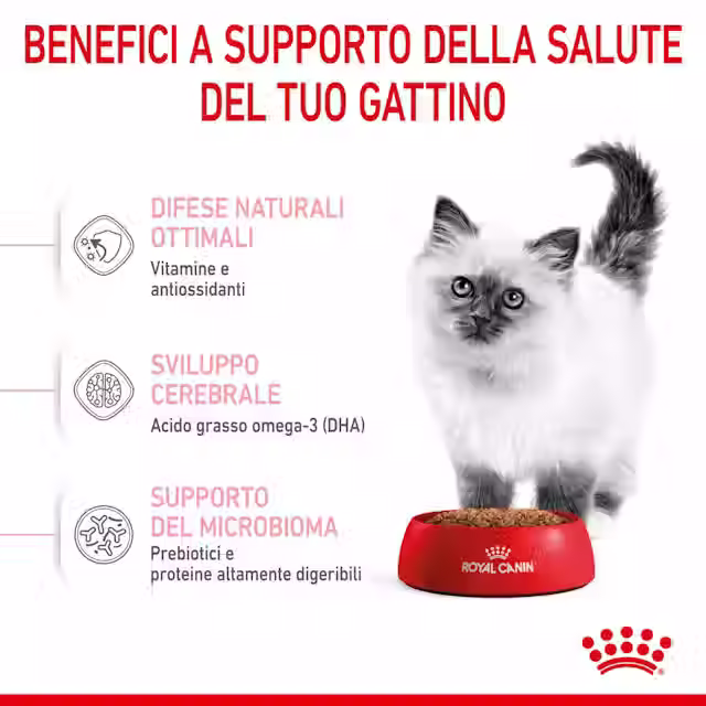Miniatura: ROYAL CANIN | Kitten 4KG