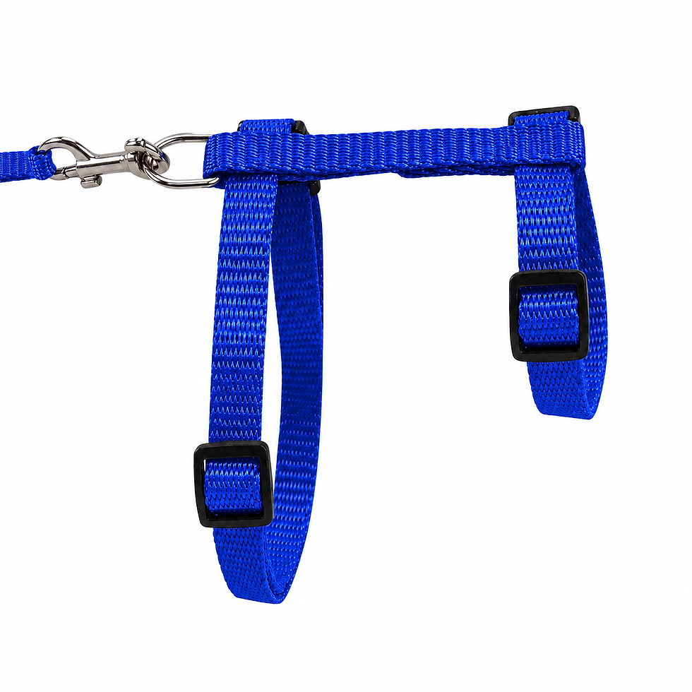 Miniatura: TRIXIE | Pettorina e guinzaglio ad H in nylon blu