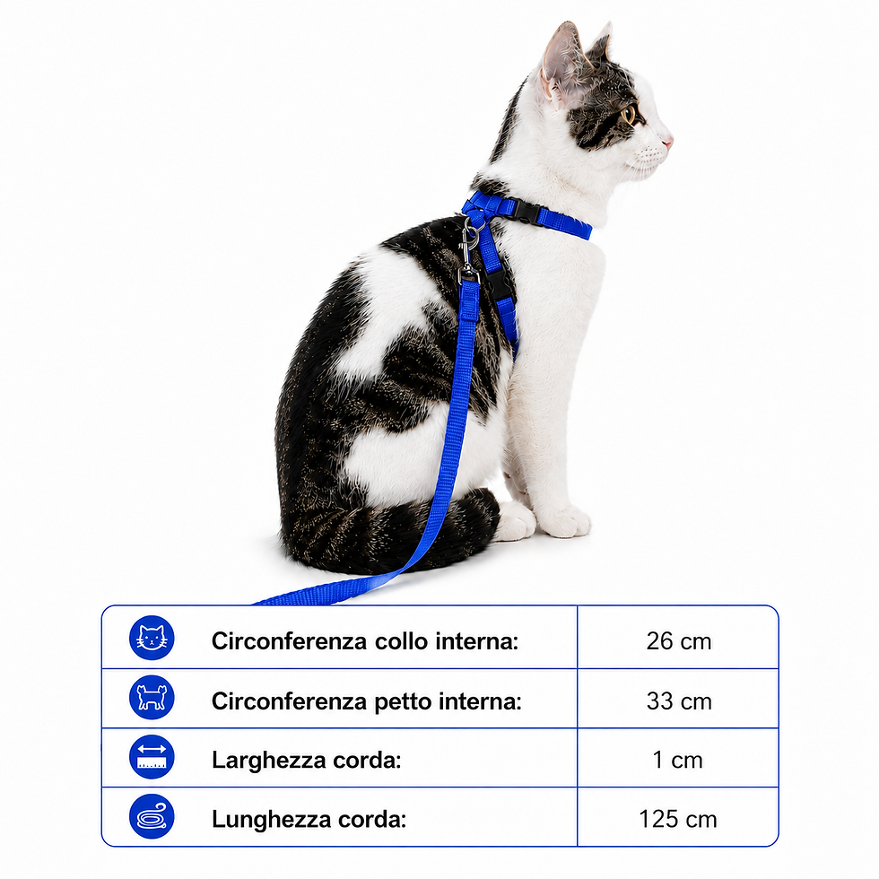 Miniatura: TRIXIE | Pettorina e guinzaglio ad H in nylon blu